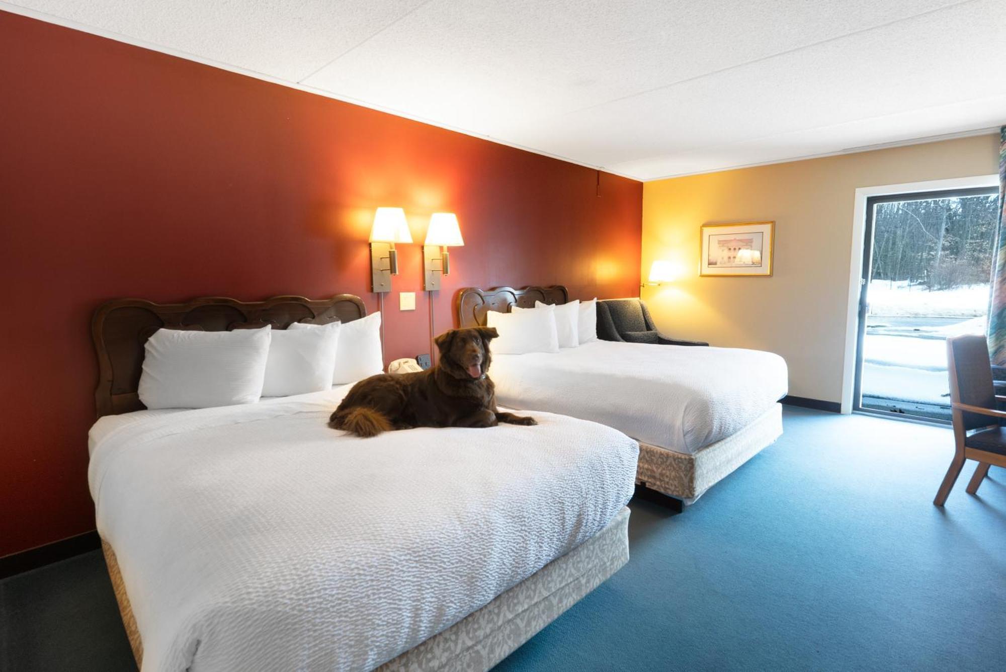 Fireside Inn & Suites Gilford Exteriér fotografie