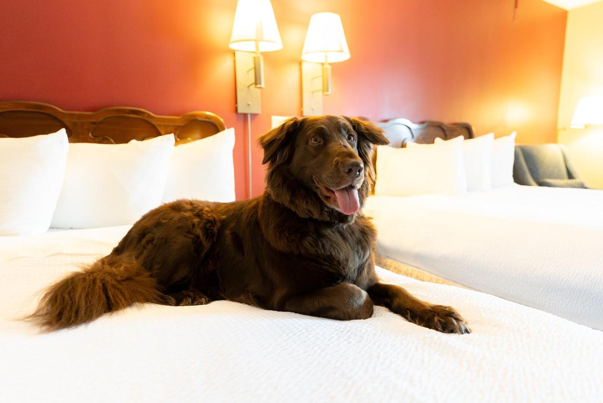 Fireside Inn & Suites Gilford Exteriér fotografie